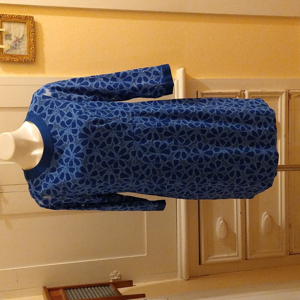 Lands End blue daisy dress Sz 12P